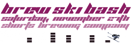 Post image for Funktion (Brew Ski Bash)