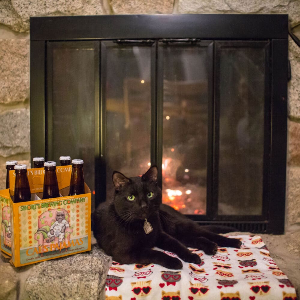 Get Fuzzy With Cat's Pajamas - Short's Brewing Company