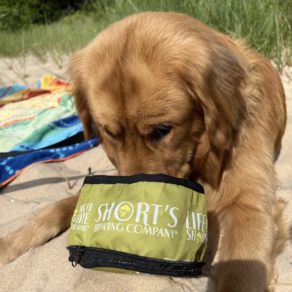 Golden retriever (who is a very good boy) drinks water out of a collabsable bowl on the beach